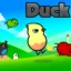Play Duck Life free in your browser — train your duck in running, swimming, and flying to win races and collect coins. Addictive RPG, no download…